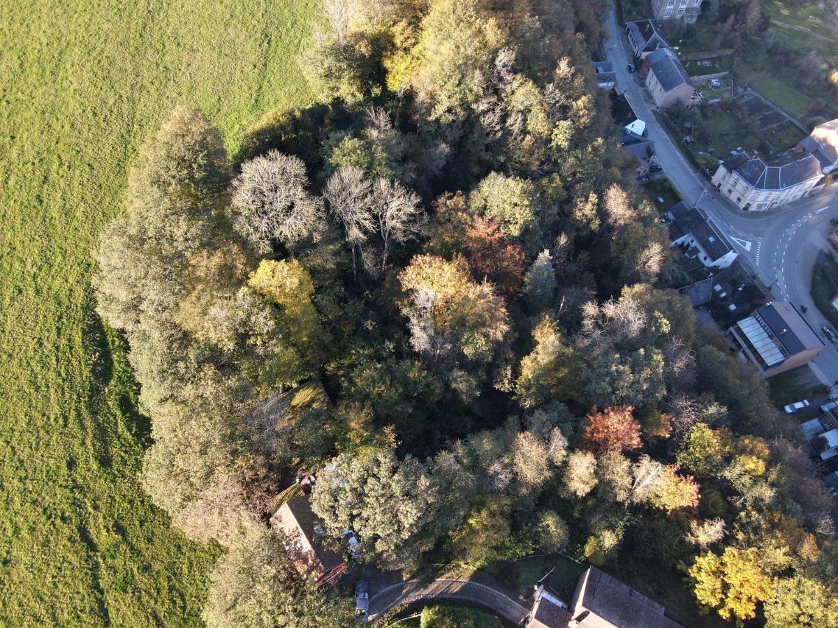 Gites douillets à l’orée des bois. Houyet Esterno foto